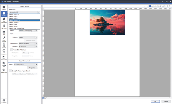 picture displaying canvas in the rip software