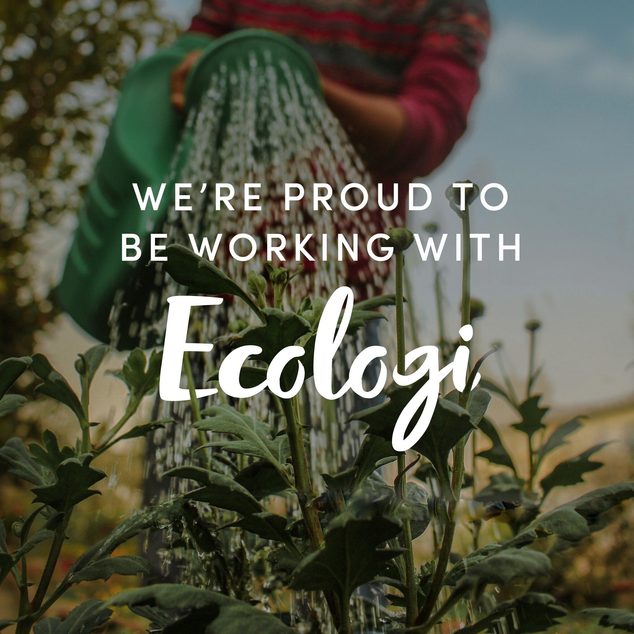 We have teamed up with Ecologi